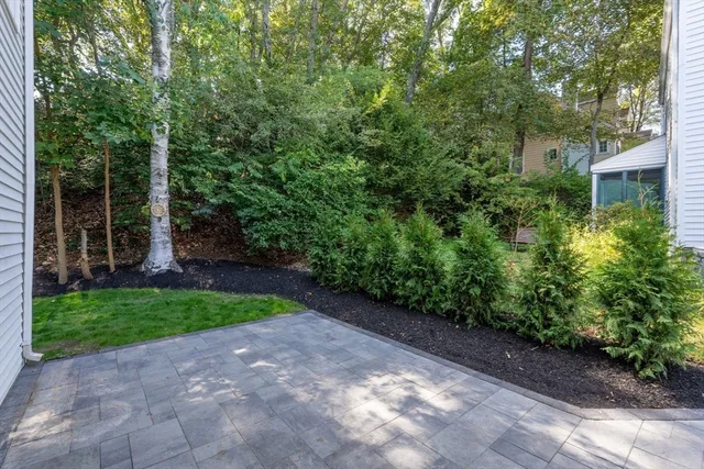 a view of a back yard