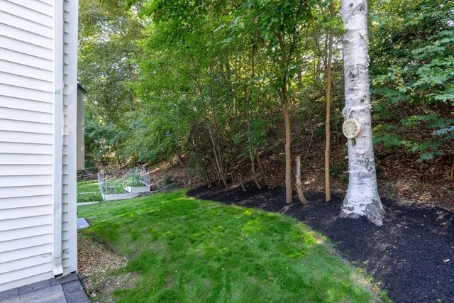 a view of a backyard with potted plants and large trees