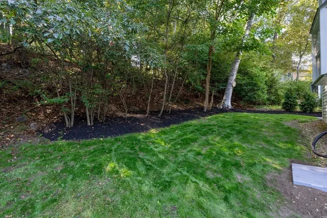 a view of a chairs in a backyard