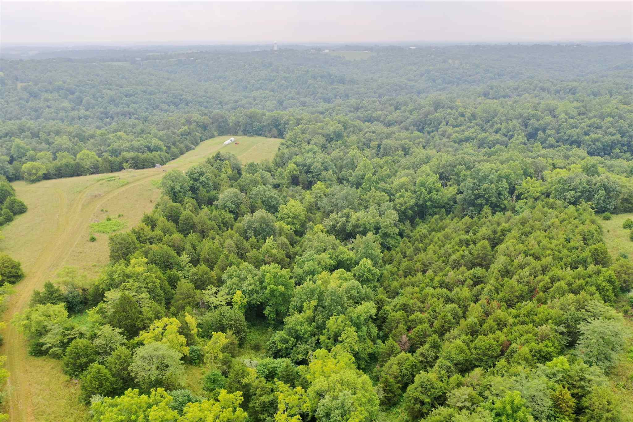 2260 Hogg Ridge Road Williamstown, KY 41097 - Photo 9 of 14 Gallery Image 9