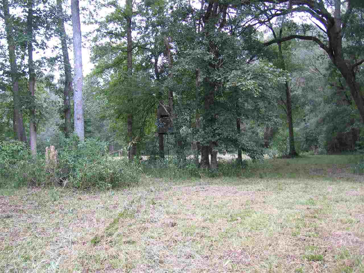 1845 Riverview Road Havana, FL 32333 - Photo 1 of 24 Gallery Image 1