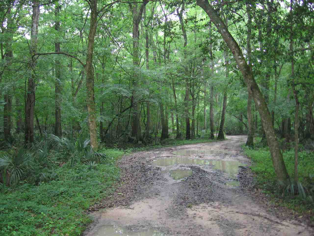 1845 Riverview Road Havana, FL 32333 - Photo 11 of 24 Gallery Image 11