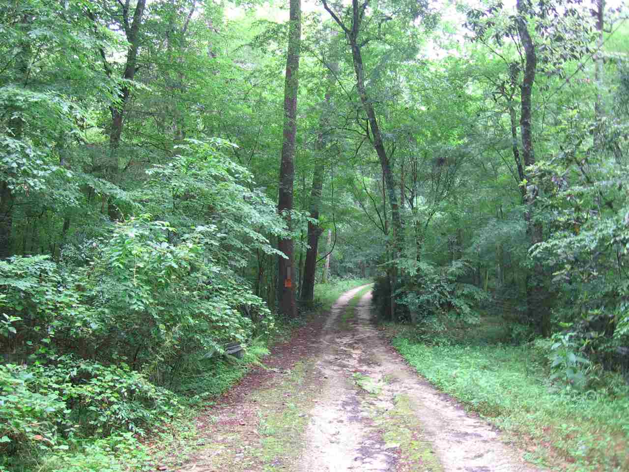 1845 Riverview Road Havana, FL 32333 - Photo 12 of 24 Gallery Image 12
