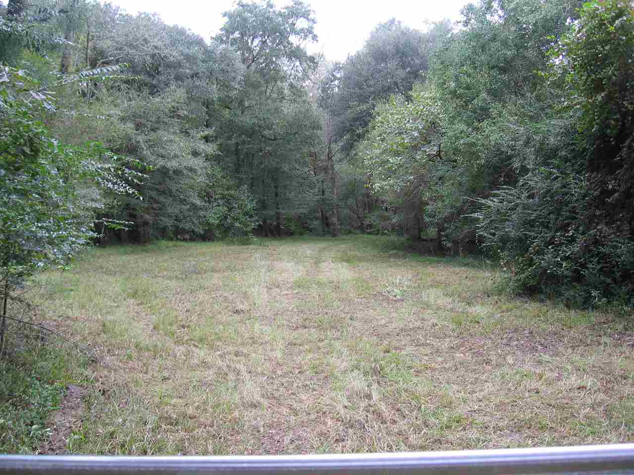 1845 Riverview Road Havana, FL 32333 - Photo 3 of 24 Gallery Image 3