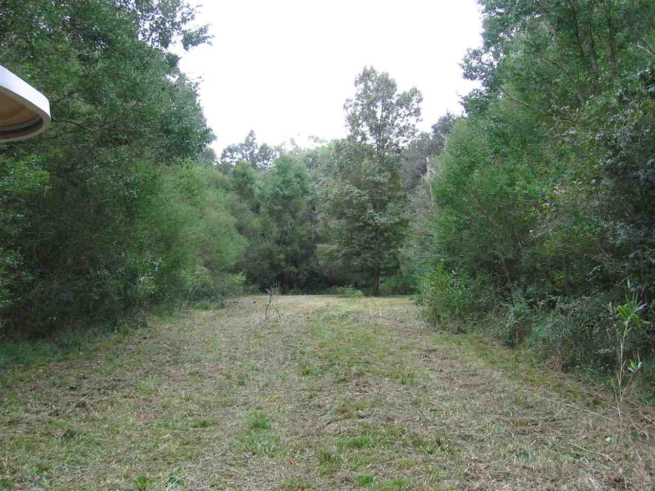 1845 Riverview Road Havana, FL 32333 - Photo 4 of 24 Gallery Image 4