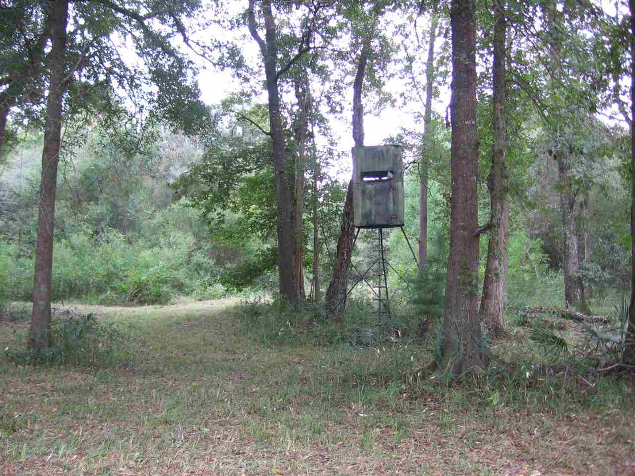 1845 Riverview Road Havana, FL 32333 - Photo 8 of 24 Gallery Image 8