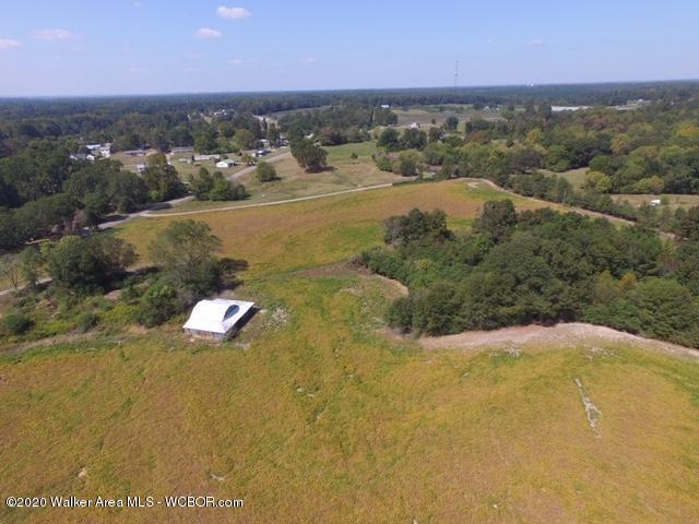 Lot 5 Arkadelphia Road Jasper, AL 35504 - Photo 3 of 8 Gallery Image 3