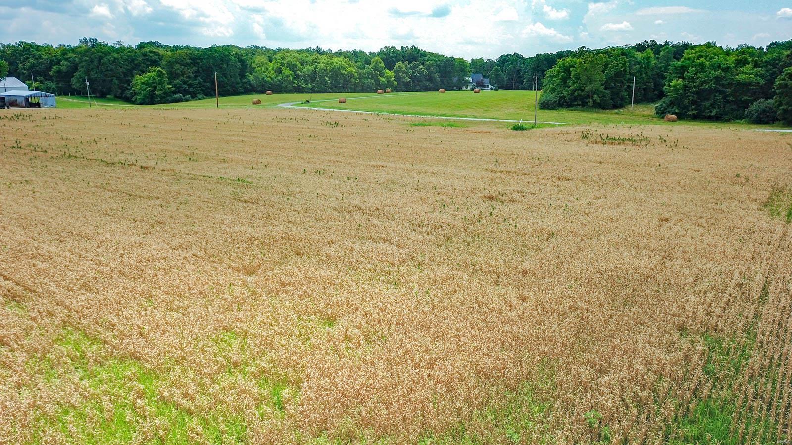 0 Oak Rest Road Piasa, IL 62079 - Photo 18 of 22