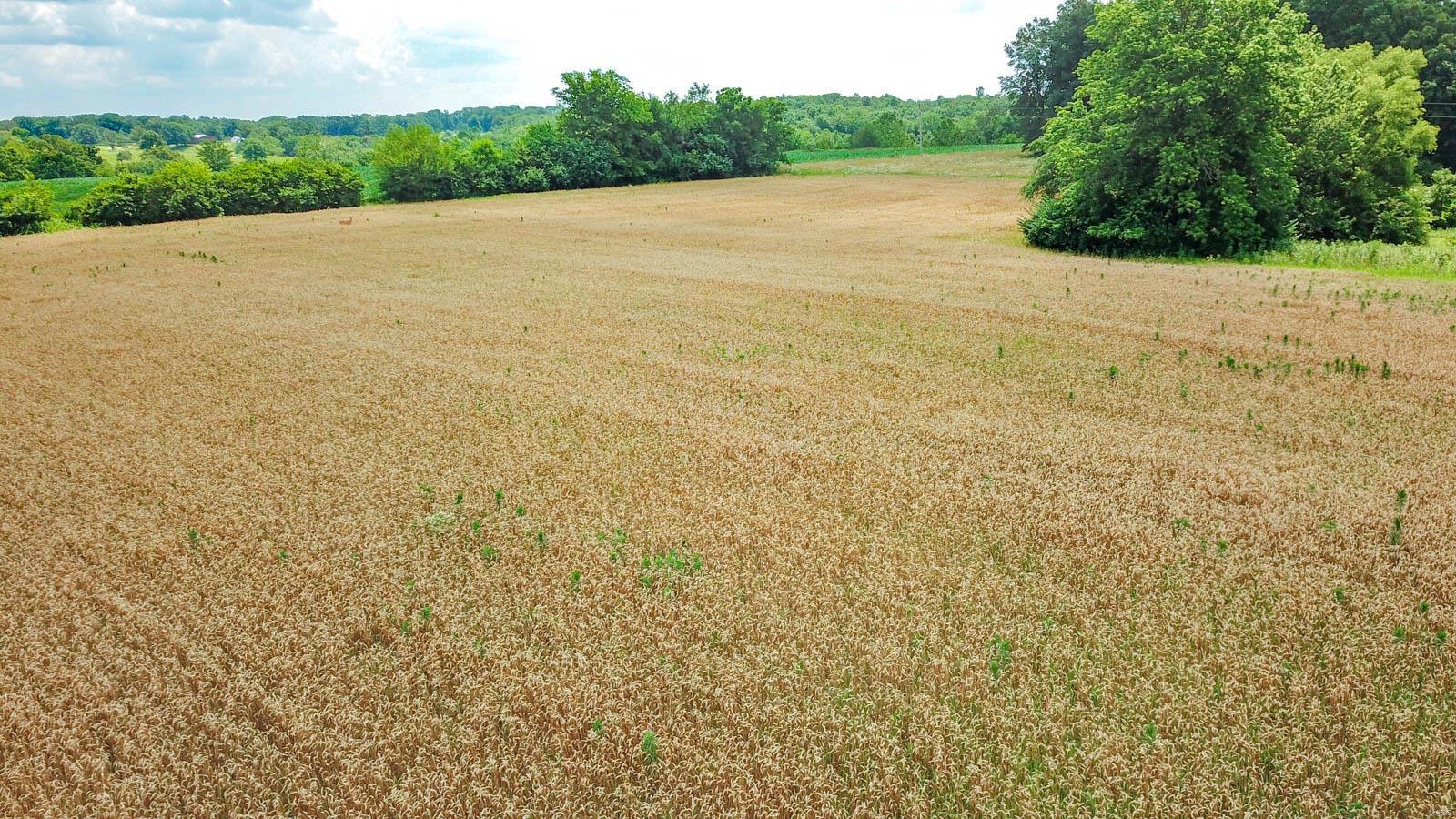 0 Oak Rest Road Piasa, IL 62079 - Photo 19 of 22