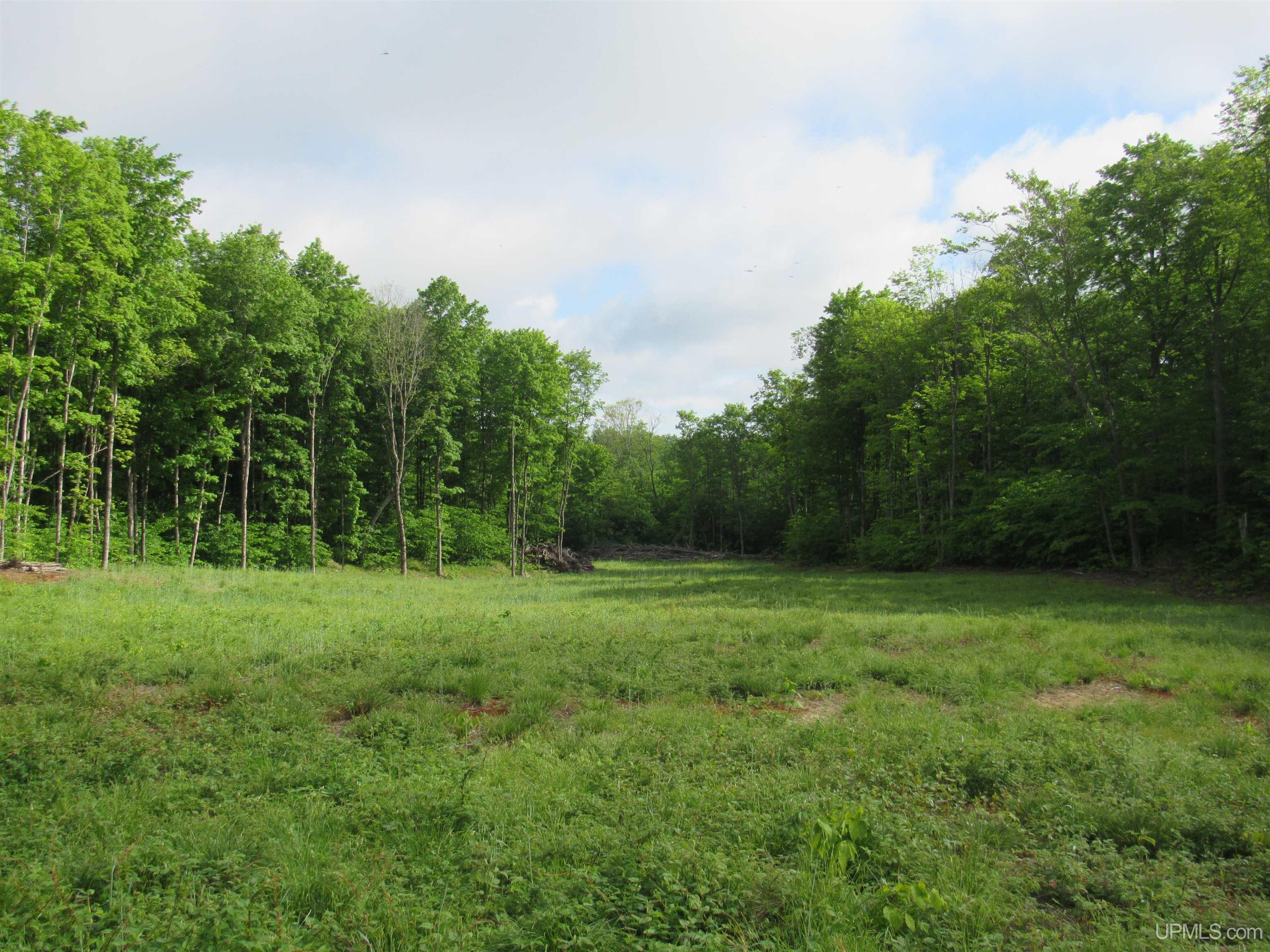 Tbd Tbd Sigan Camp Road Seney, MI 49883 - Photo 22 of 41