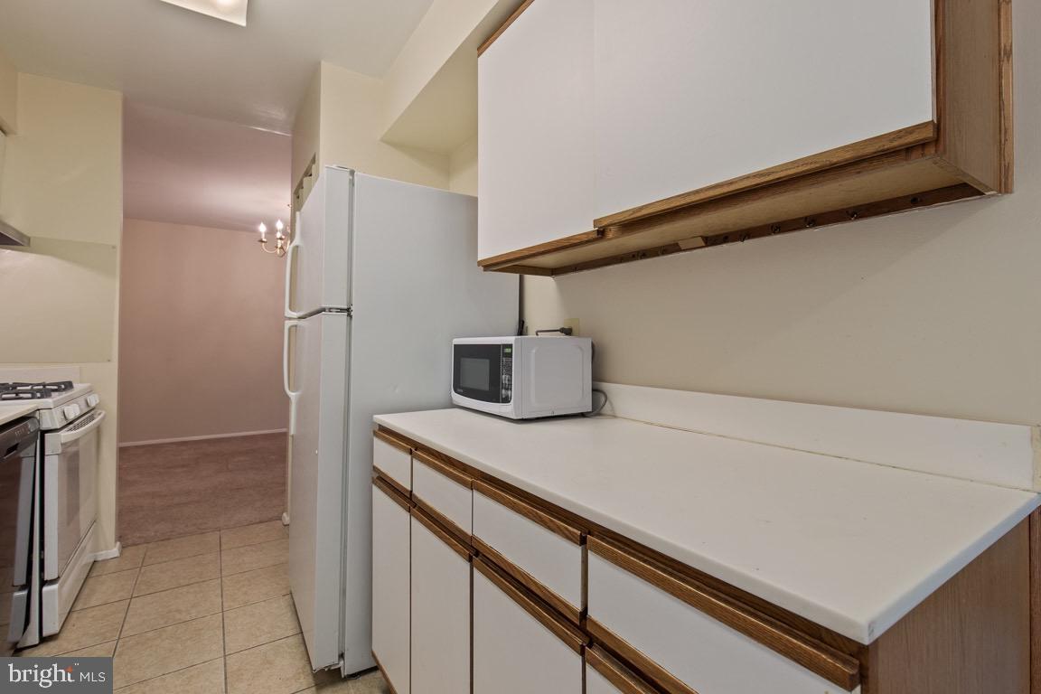 11200 Chestnut Grove Square, Unit 103 Reston, VA 20190 - Photo 18 of 33 Gallery Image 18