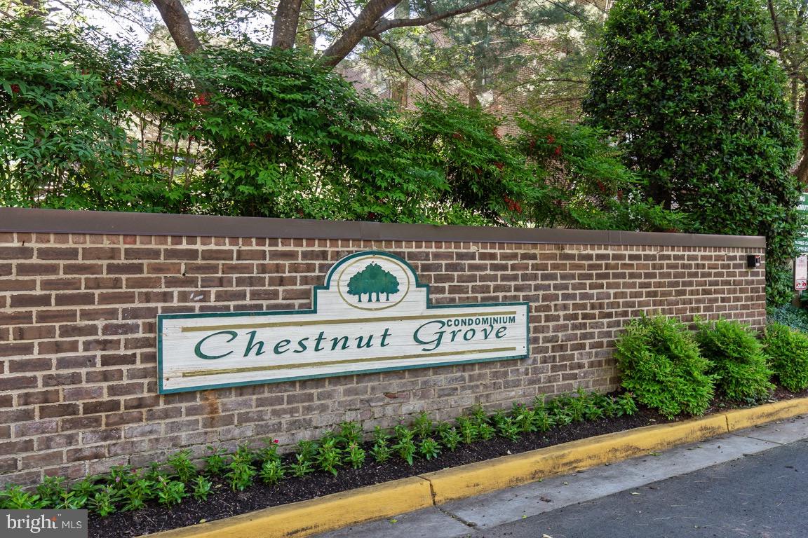 11200 Chestnut Grove Square, Unit 103 Reston, VA 20190 - Photo 33 of 33 Gallery Image 33