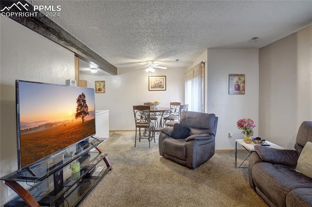 4723 Barnes Road Colorado Springs, CO 80917 - Photo 2 of 5 LIVING ROOM WITH DINING AREA COMBO AND WALKOUT TO BACKYARD