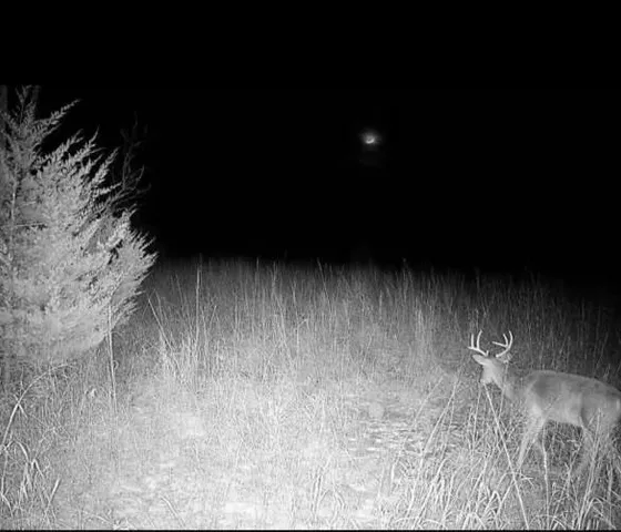 $340,000 | 36707 Spring Valley Road, Louisburg, KS 66053