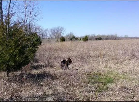 $340,000 | 36707 Spring Valley Road, Louisburg, KS 66053