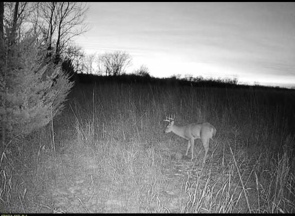36707 Spring Valley Road Louisburg, KS 66053 - Photo 4 of 21
