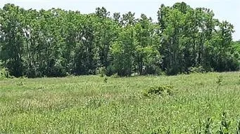 $340,000 | 36707 Spring Valley Road, Louisburg, KS 66053