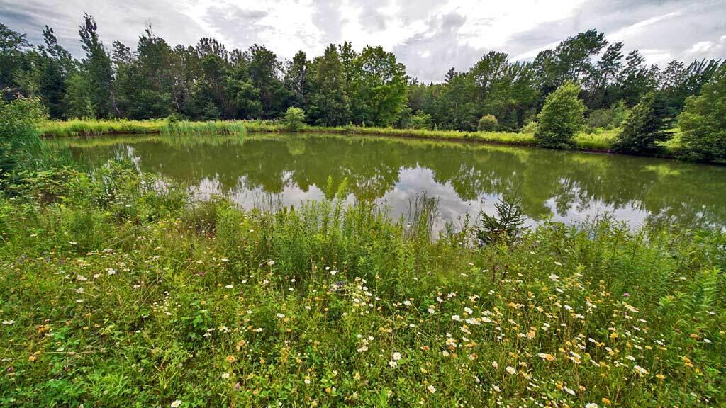 60 Smyrna Center Road Smyrna, ME 04780 - Photo 51 of 52 pond-land-country-home