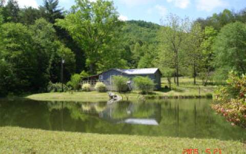 3995 Lower Bear Paw Road Murphy, NC 28906 - Photo 1 of 1 Main View