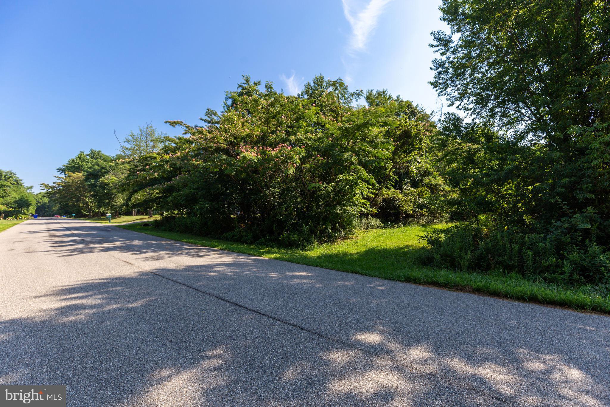 12190 Potomac View Road Newburg, MD 20664 - Photo 20 of 33 Gallery Image 20