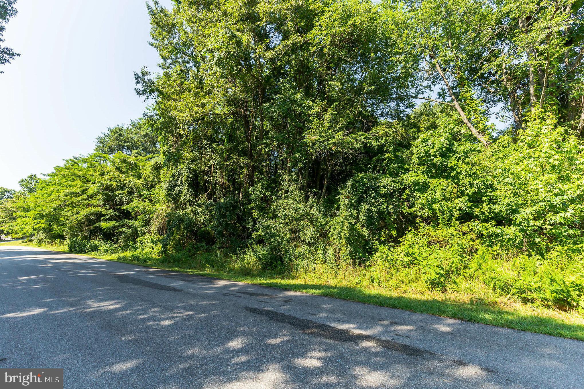 12190 Potomac View Road Newburg, MD 20664 - Photo 22 of 33 Gallery Image 22