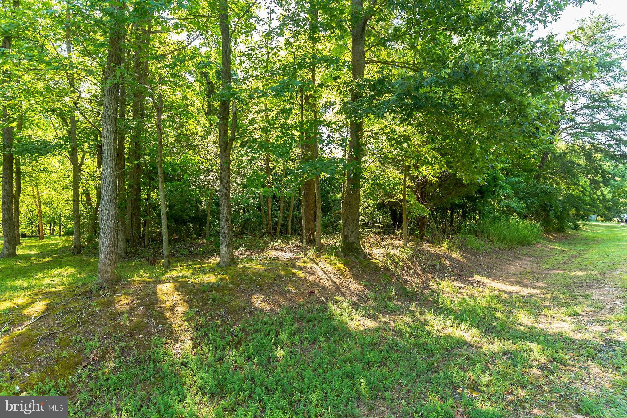 12190 Potomac View Road Newburg, MD 20664 - Photo 23 of 33 Gallery Image 23