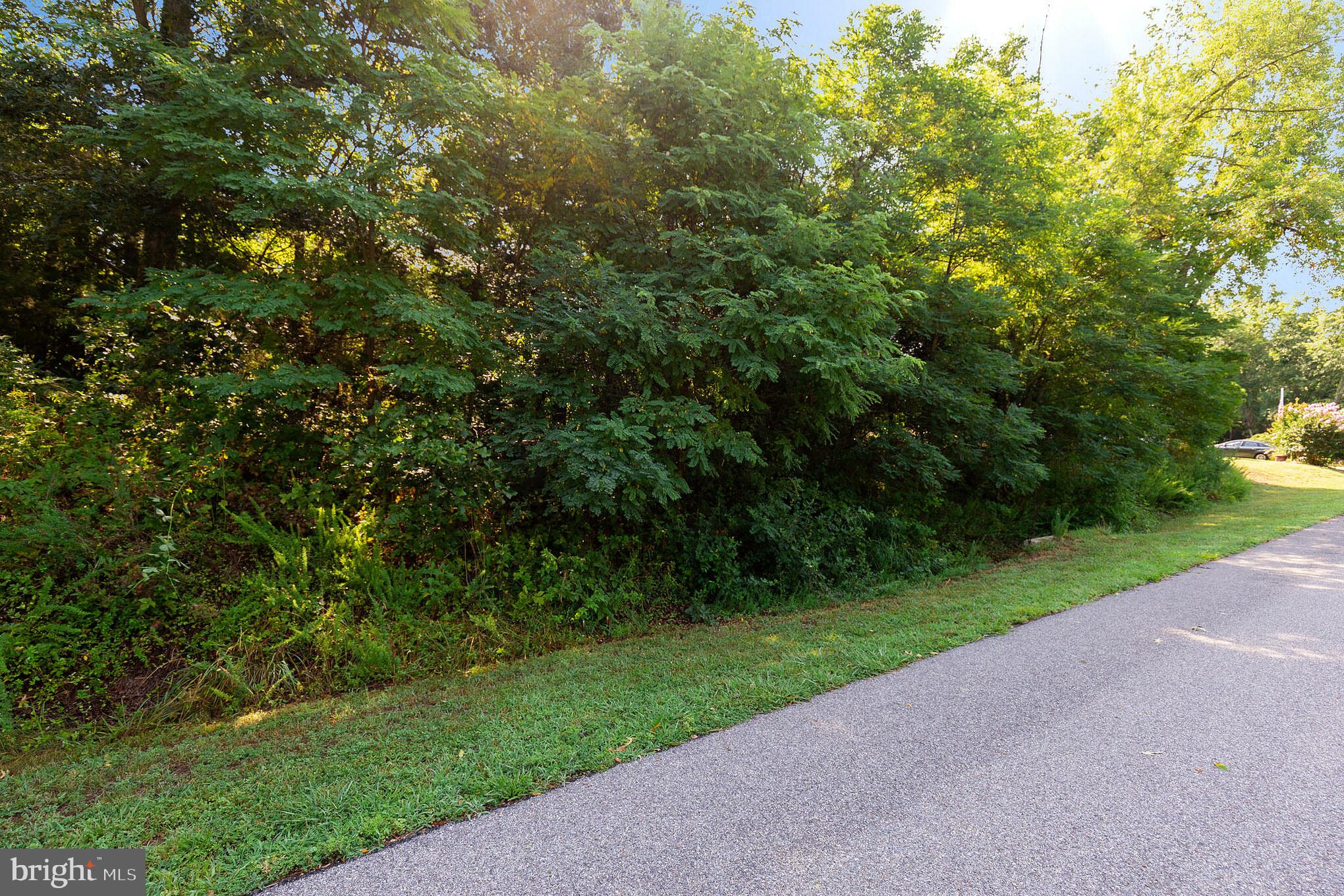 12190 Potomac View Road Newburg, MD 20664 - Photo 10 of 33 Gallery Image 10