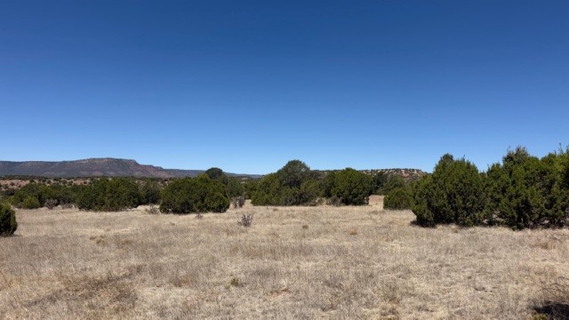 B55 Ribera Nm 87565 Ribera, NM 87560 - Photo 14 of 27