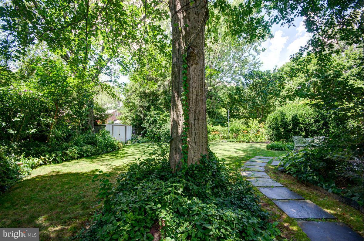 9306 Wire Avenue Silver Spring, MD 20901 - Photo 11 of 29 Lush, Green Backyard