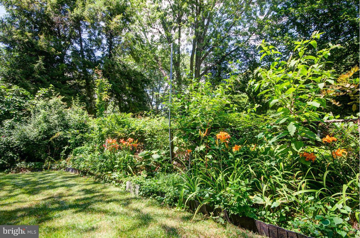 9306 Wire Avenue Silver Spring, MD 20901 - Photo 25 of 29 Mature Garden in Backyard