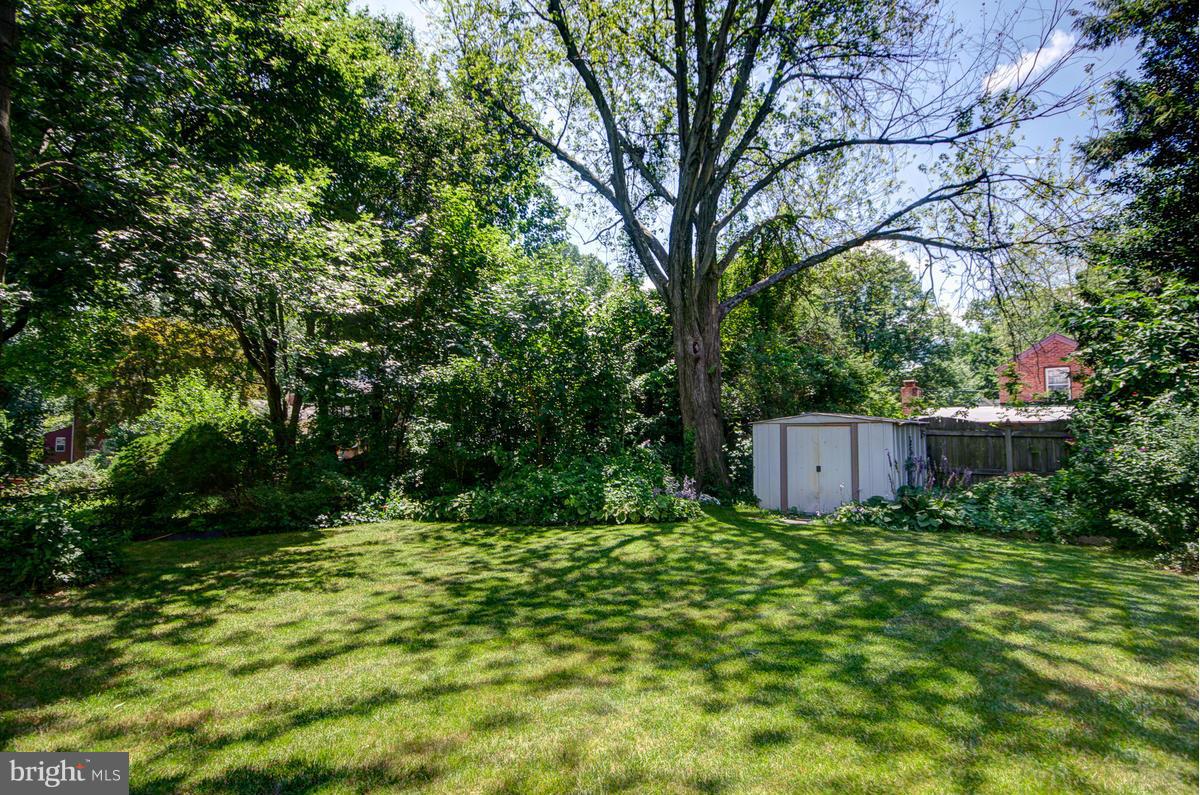 9306 Wire Avenue Silver Spring, MD 20901 - Photo 26 of 29 Open, green backyard