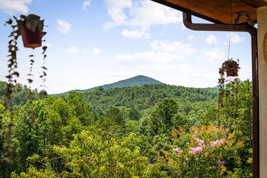 90 Fox Run Blue Ridge, GA 30513 - Photo 24 of 93 Gallery Image 24