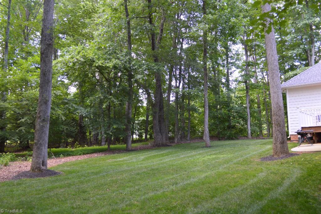 7069 Lanier Road Summerfield, NC 27358 - Photo 5 of 30 Back Yard