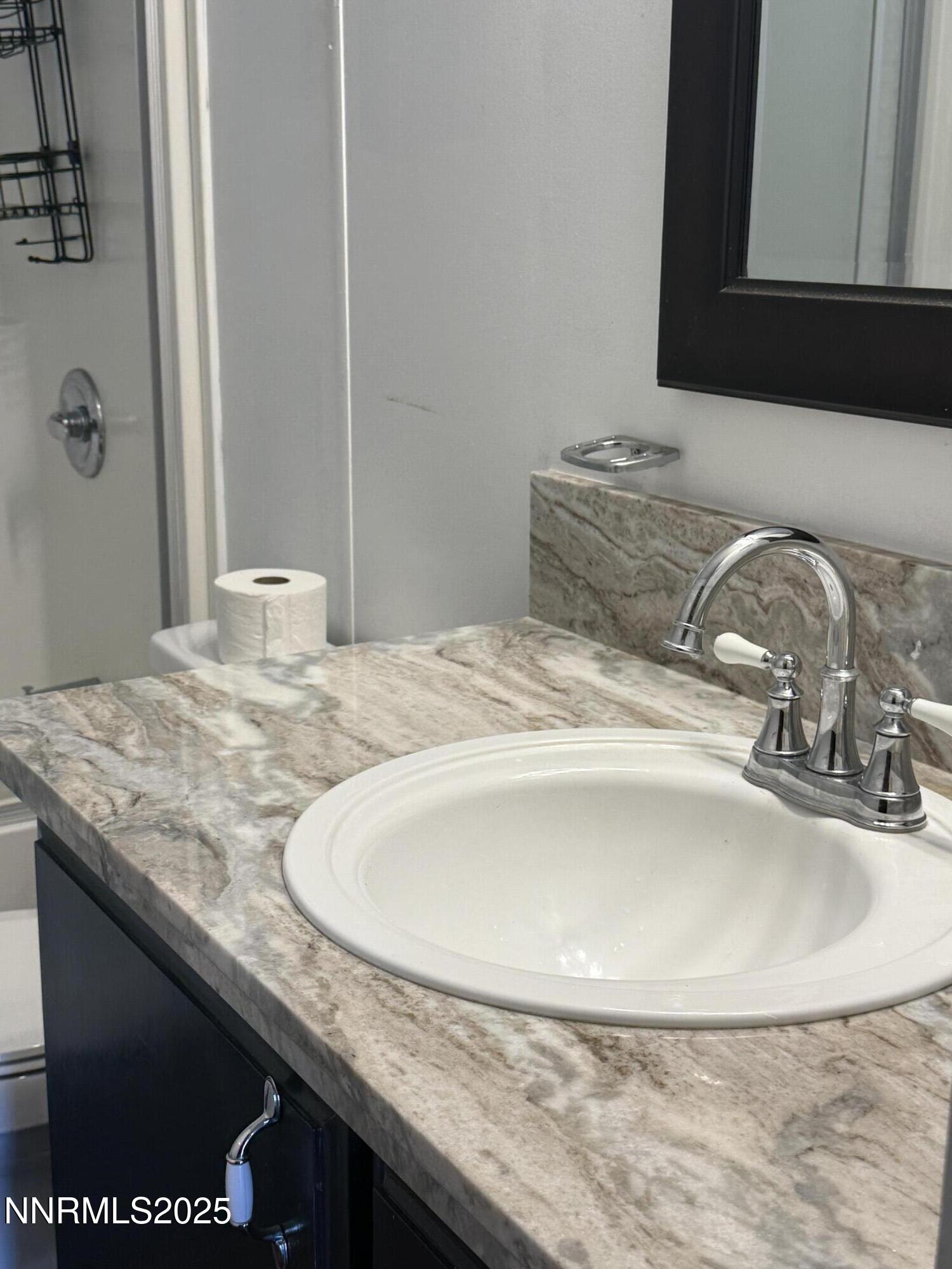 3875 Granite Way Topaz Ranch Estates, NV 89444 - Photo 11 of 31 GUEST BATH