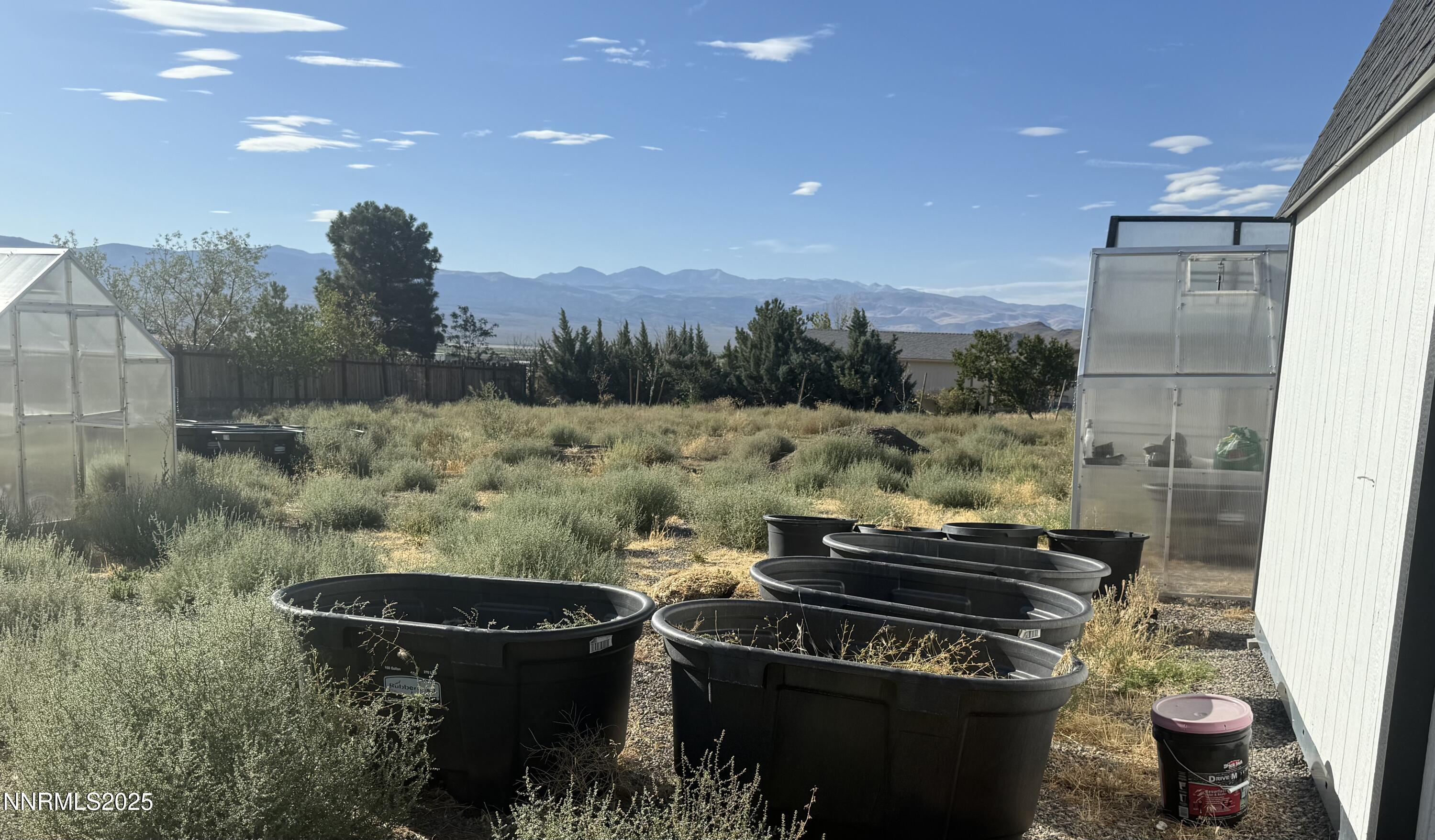 3875 Granite Way Topaz Ranch Estates, NV 89444 - Photo 24 of 31 PLANTERS