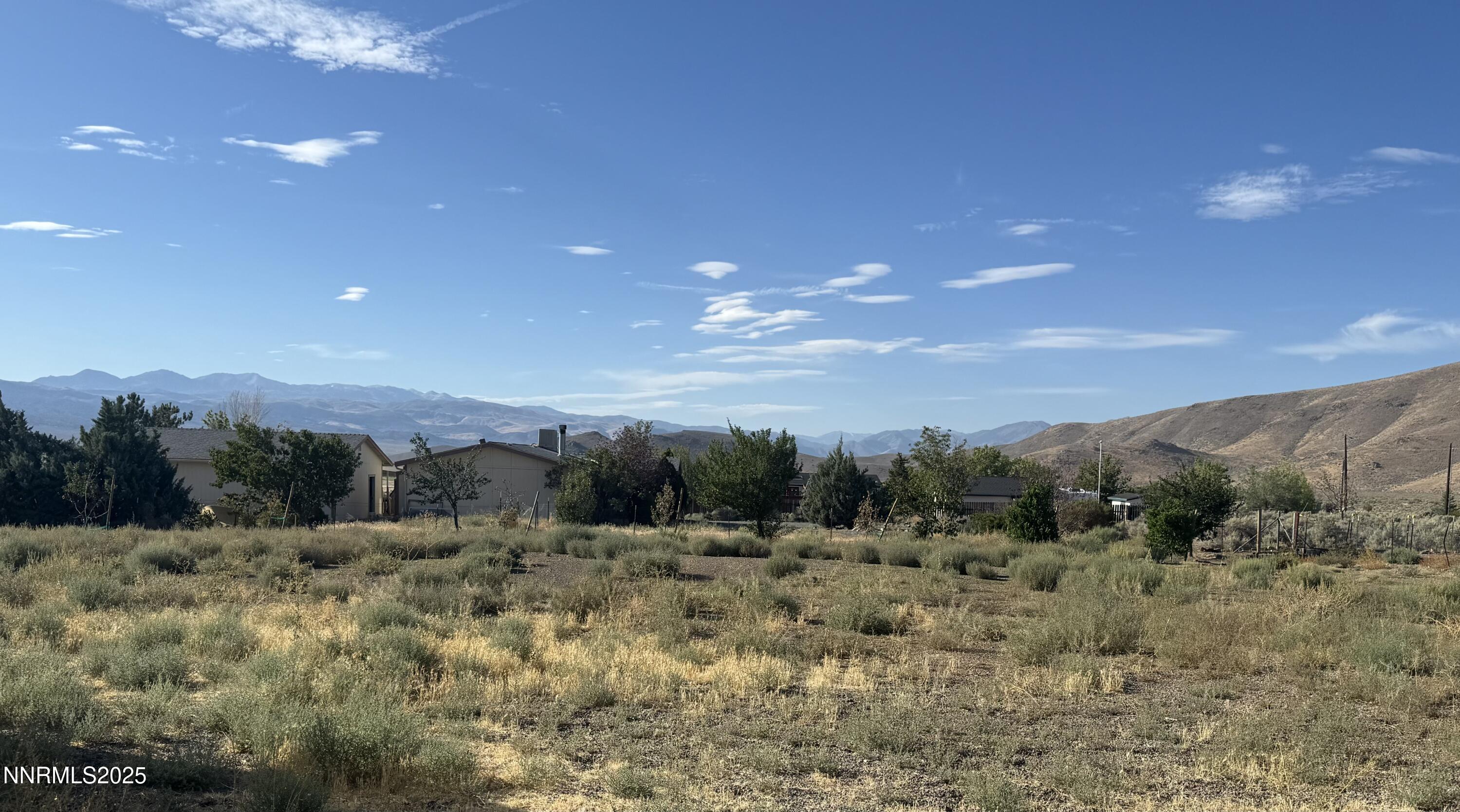 3875 Granite Way Topaz Ranch Estates, NV 89444 - Photo 30 of 31 BACKYARD