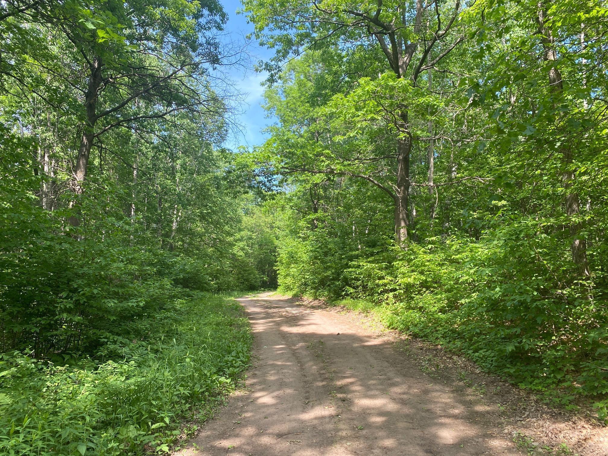Xx Heron Lake Road Northeast Brainerd, MN 56401 - Photo 1 of 1 Gallery Image 1