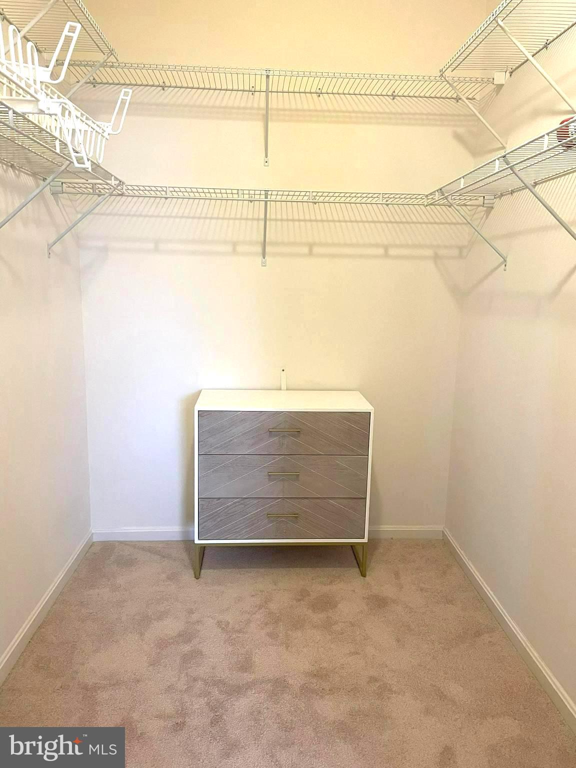 7401 Travertine Drive, Unit 302 Baltimore, MD 21209 - Photo 17 of 28 Primary Bedroom Walk in Closet