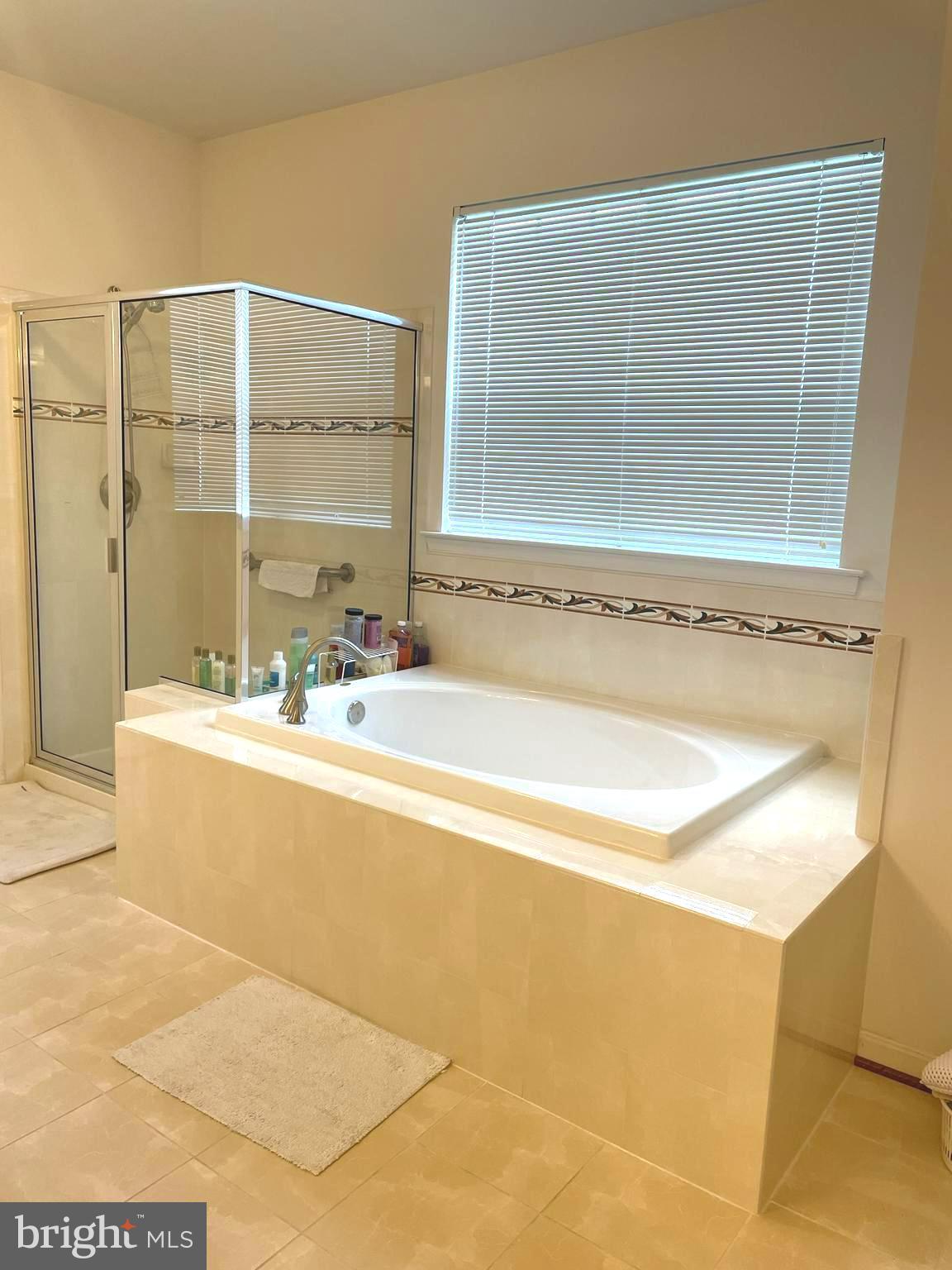 7401 Travertine Drive, Unit 302 Baltimore, MD 21209 - Photo 20 of 28 Seperate Shower and Bath in Primary Bathroom