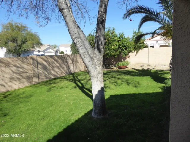 a view of yard with green space