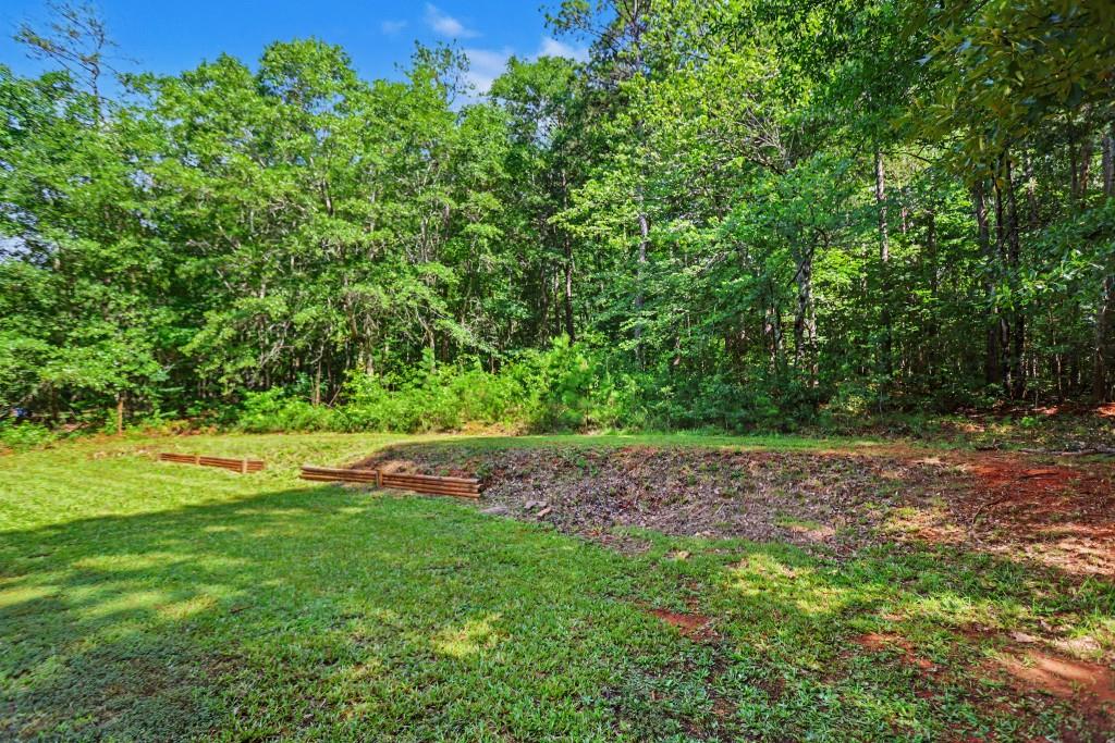 338 Hunters Run Jefferson, GA 30549 - Photo 5 of 29