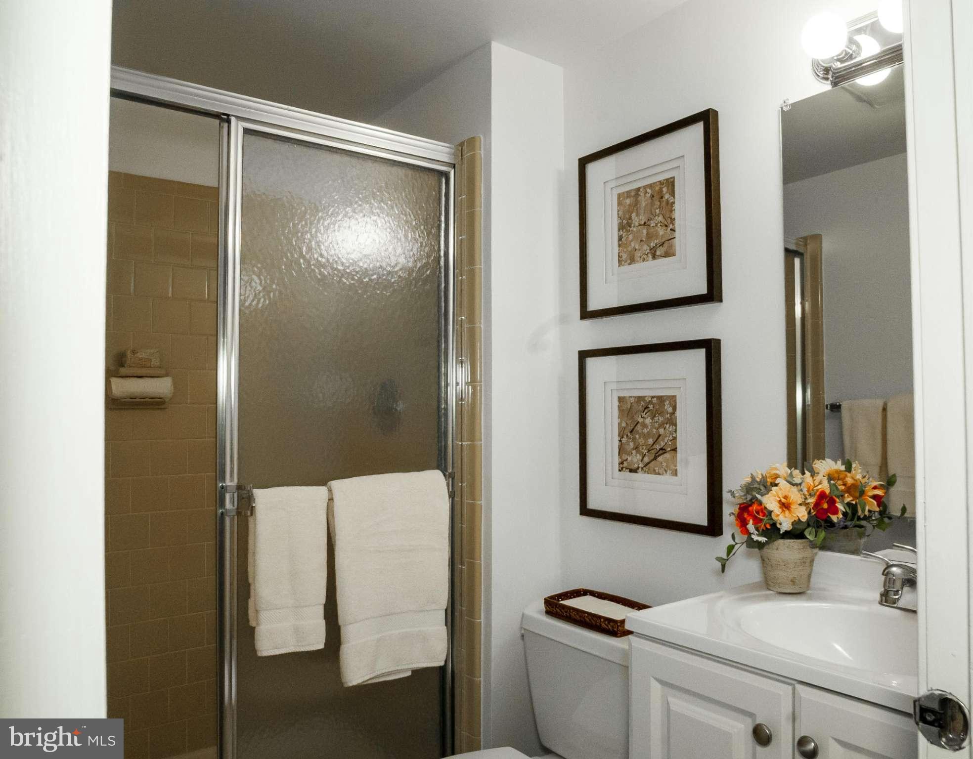 9415 Retriever Road Springfield, VA 22153 - Photo 21 of 29 Lower Level Hall Full Bath