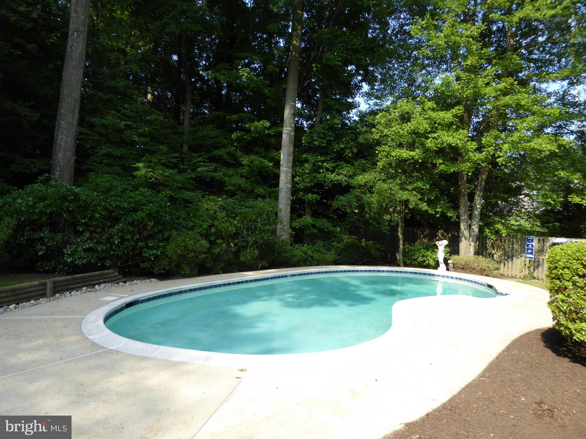 9415 Retriever Road Springfield, VA 22153 - Photo 26 of 29 Custom pool