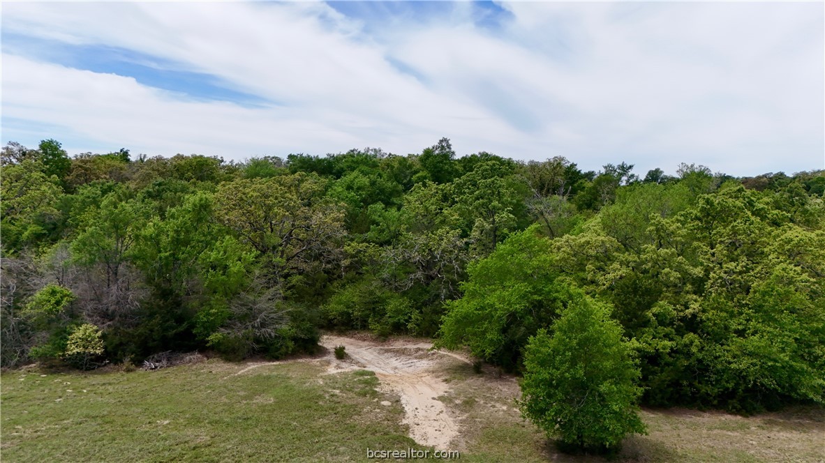 10432 Sammys Road Bremond, TX 76629 - Photo 44 of 47