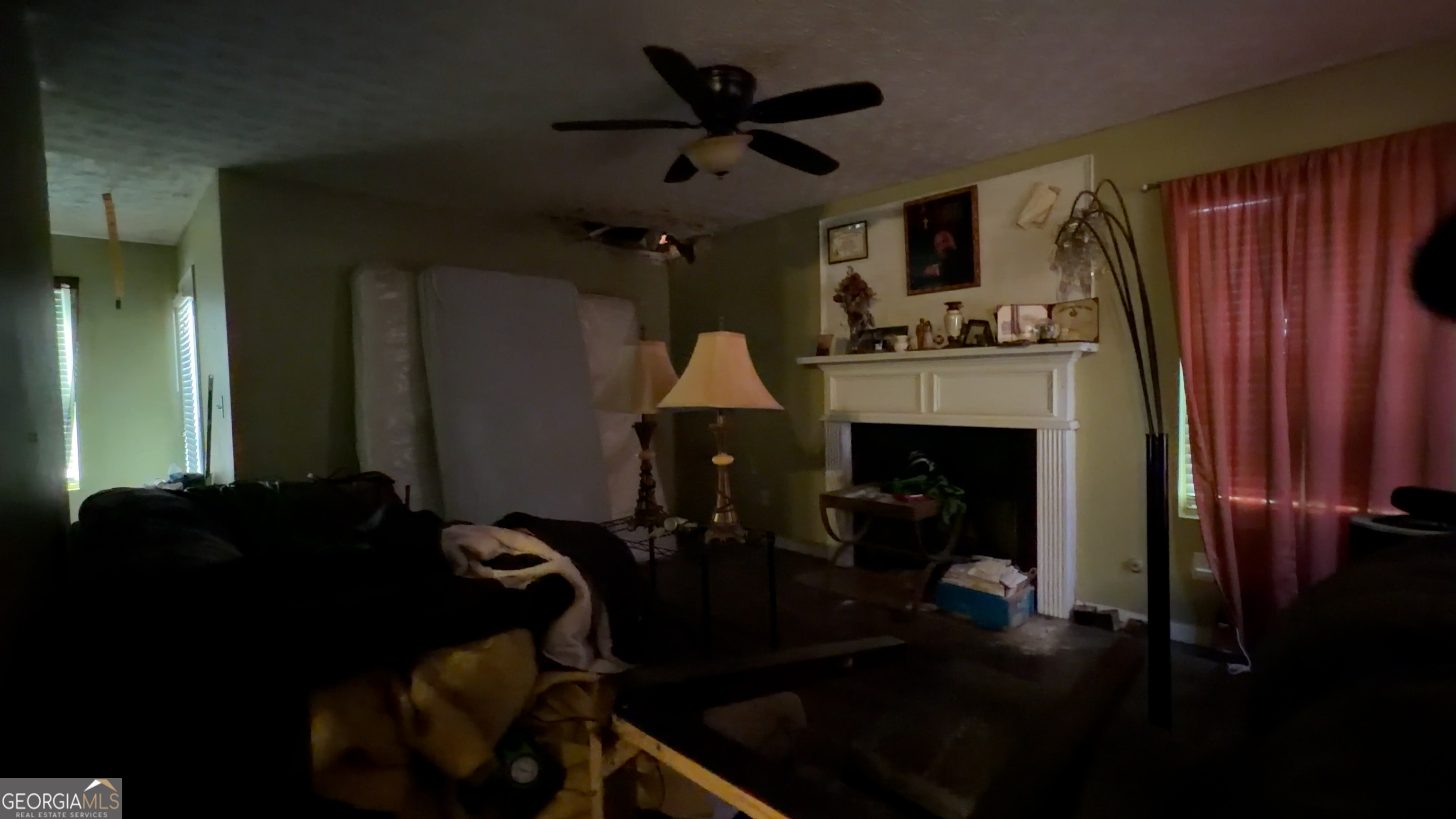 173 Goldleaf Drive Hampton, GA 30228 - Photo 3 of 13