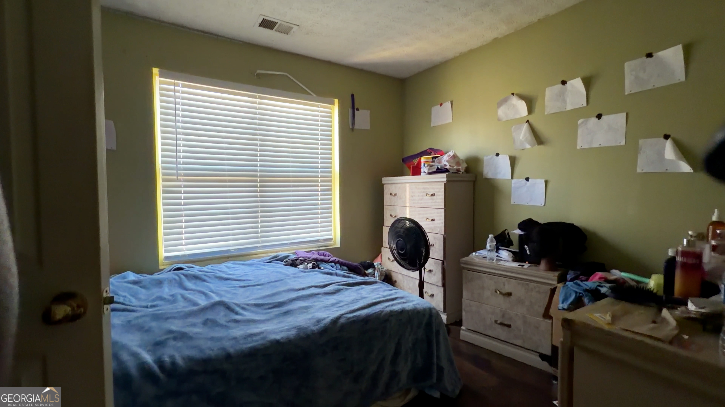 173 Goldleaf Drive Hampton, GA 30228 - Photo 4 of 13