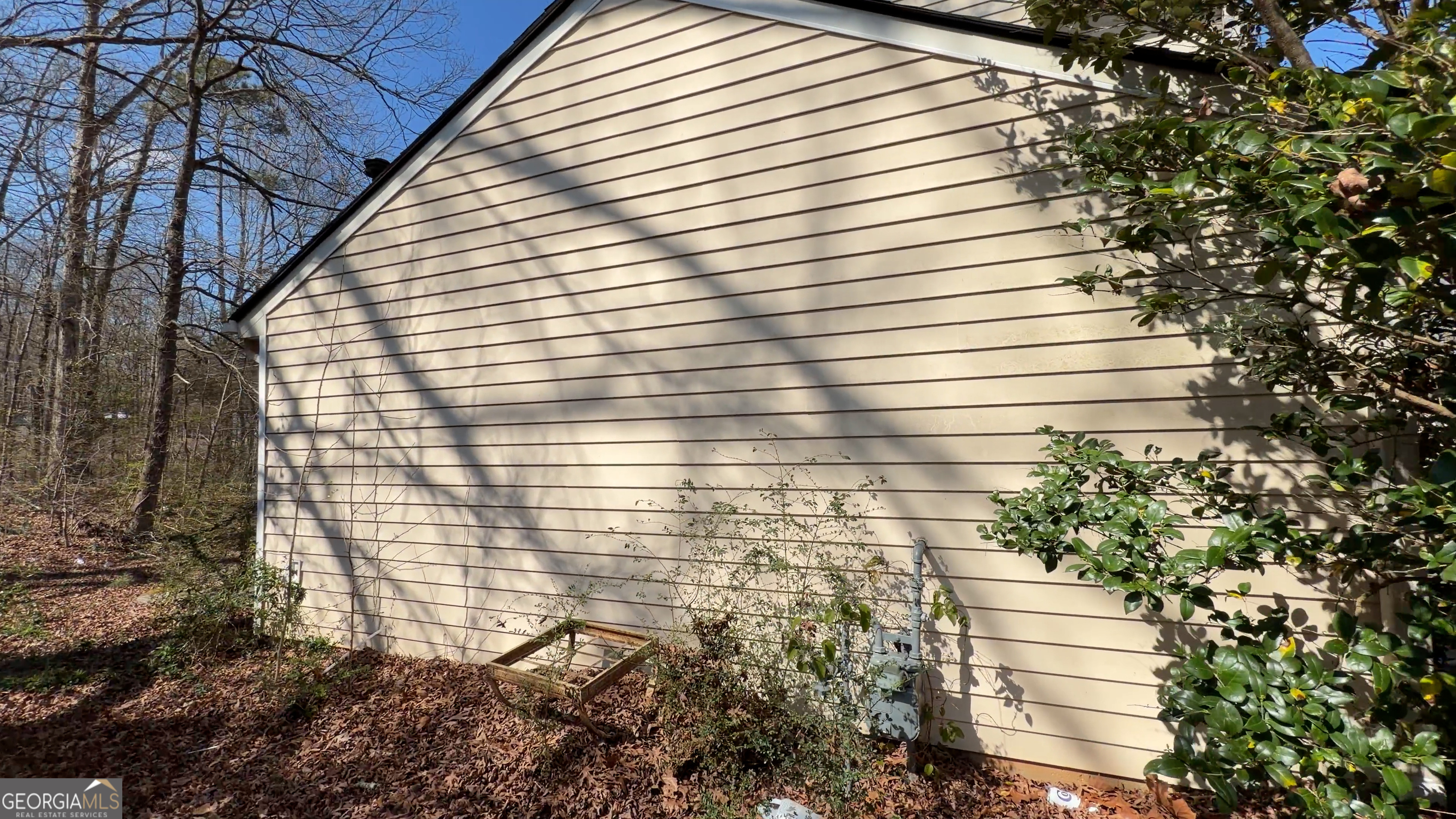 173 Goldleaf Drive Hampton, GA 30228 - Photo 9 of 13