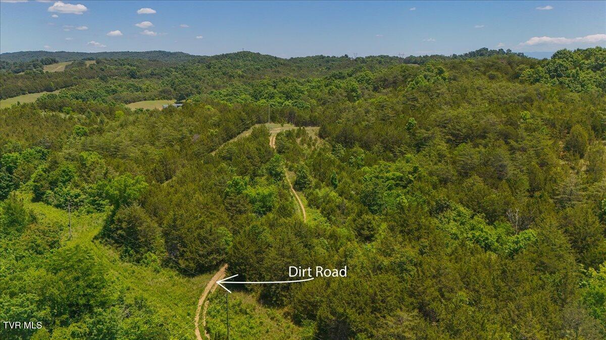 5441 Fred Marshall Road Russellville, TN 37860 - Photo 9 of 20 18-DJI_20260604134523_0933_D