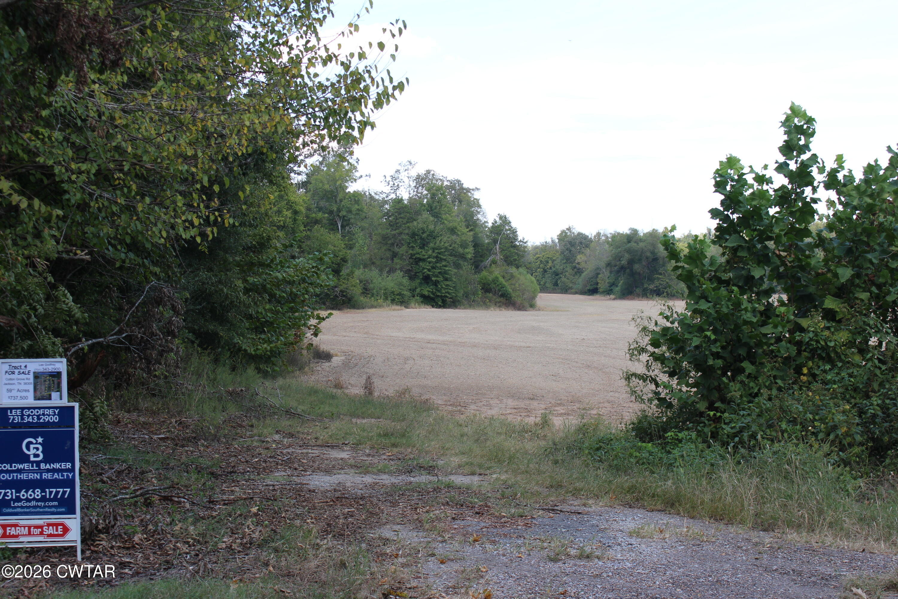4 Cotton Grove Road Jackson, TN 38305 - Photo 5 of 11 IMG_0148
