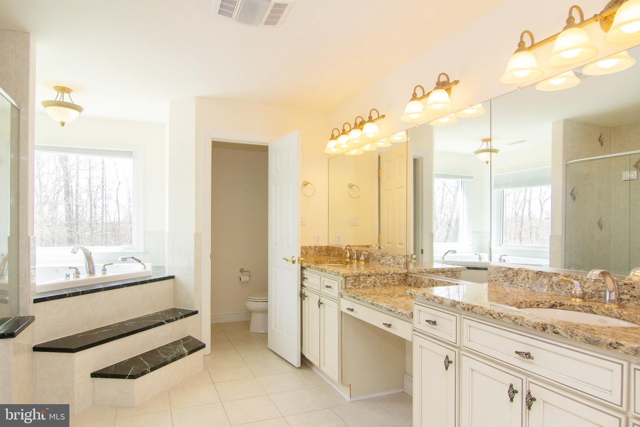 2089 Brown Road Finksburg, MD 21048 - Photo 20 of 31 a bathroom with a double vanity sink and mirror with bathtub